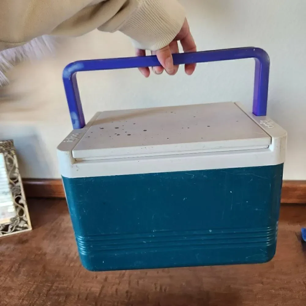 Igloo polar 6 holds six cans vintage '90s teal purple personal ice chest cooler